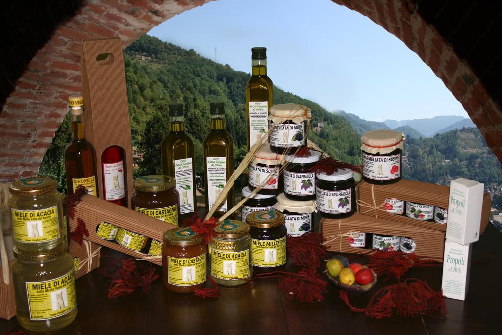 Agriturismo La Torre Bagni di Lucca Exterior photo